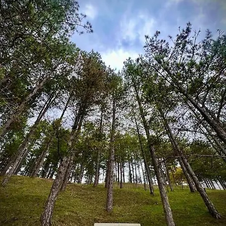 Chalet Rustico Carmoronda *