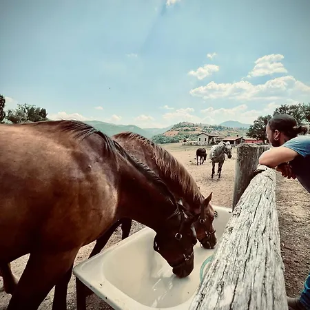 Chalet Rustico Carmoronda